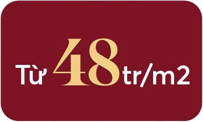 Từ 48 triệu/m2